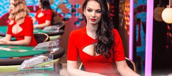 bet58599